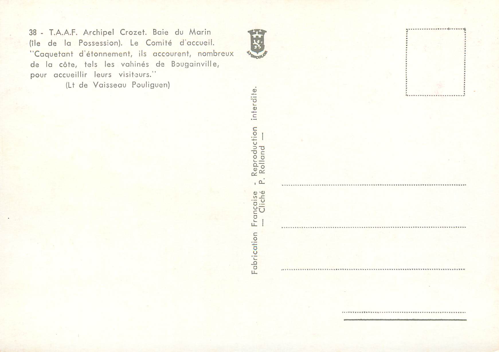 Penguins — Baie du Marin, Archipel Crozet — T.A.A.F. — n°38 — Rückseite