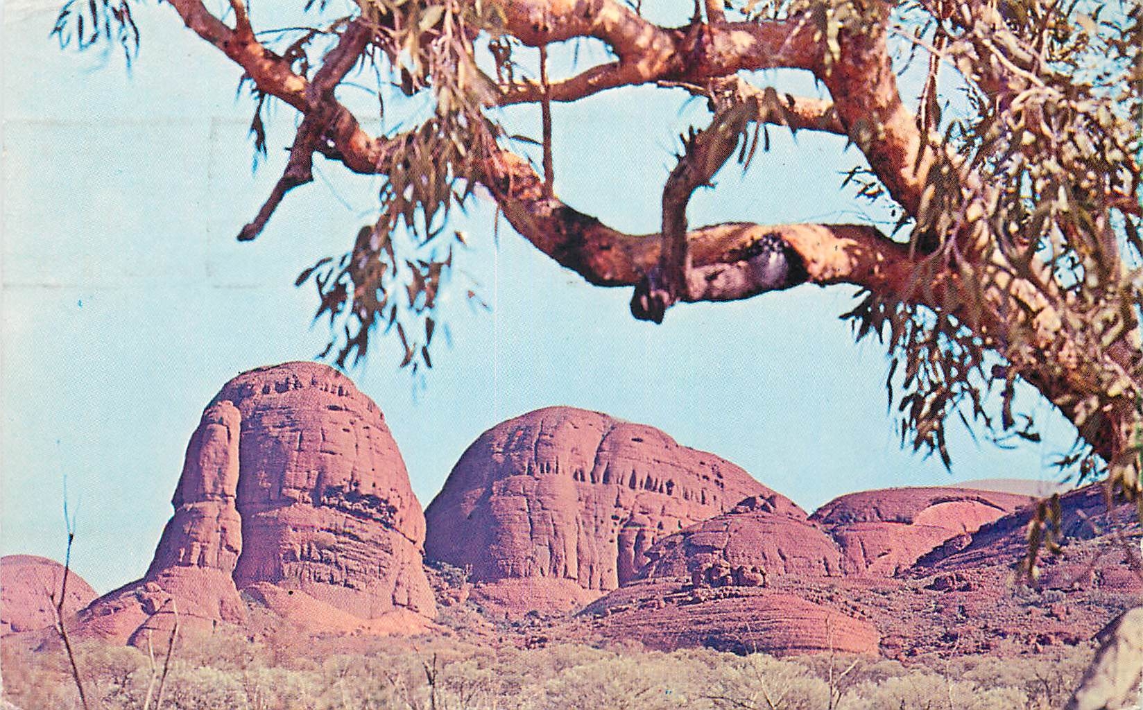 CPM Australia The Olgas