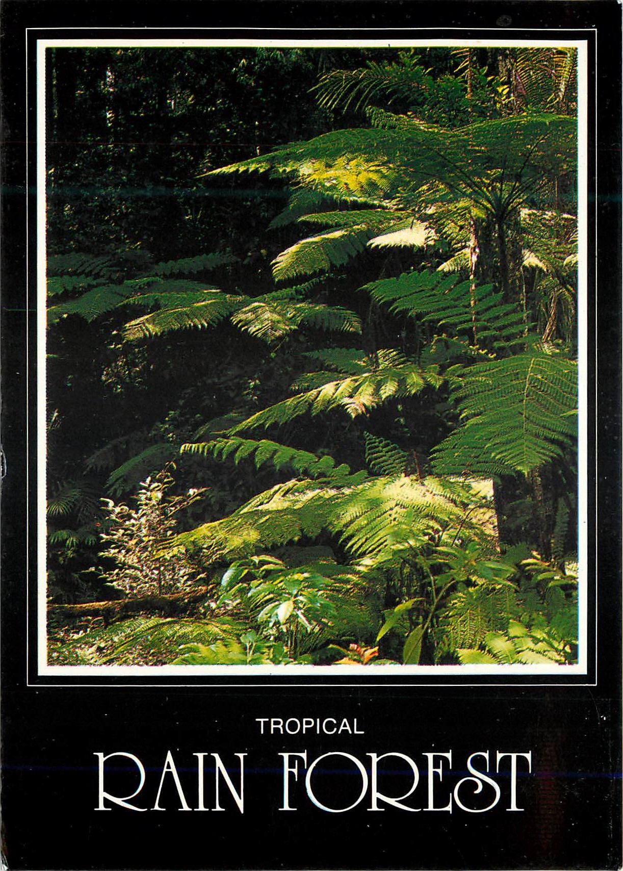 CPM Australia Tropical Rain Forest
