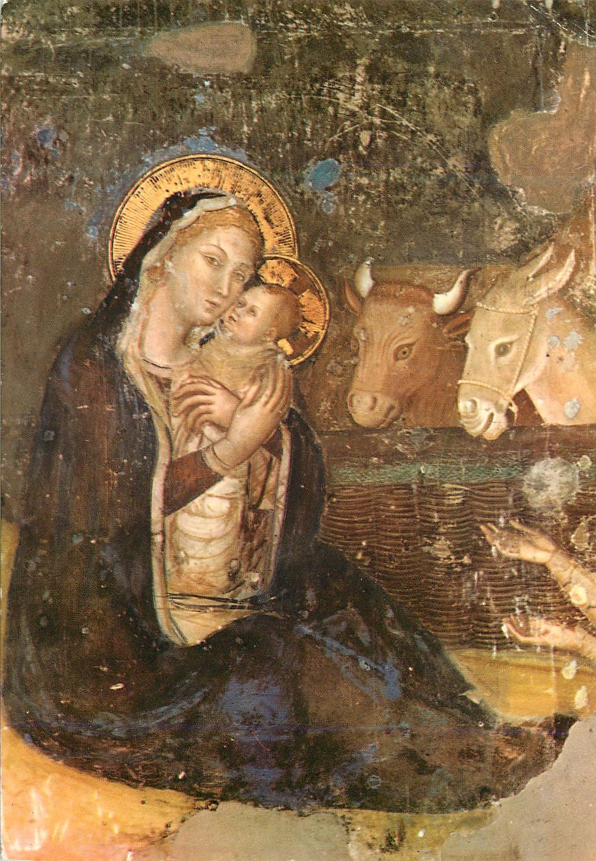 CPM Assisi Chiara 