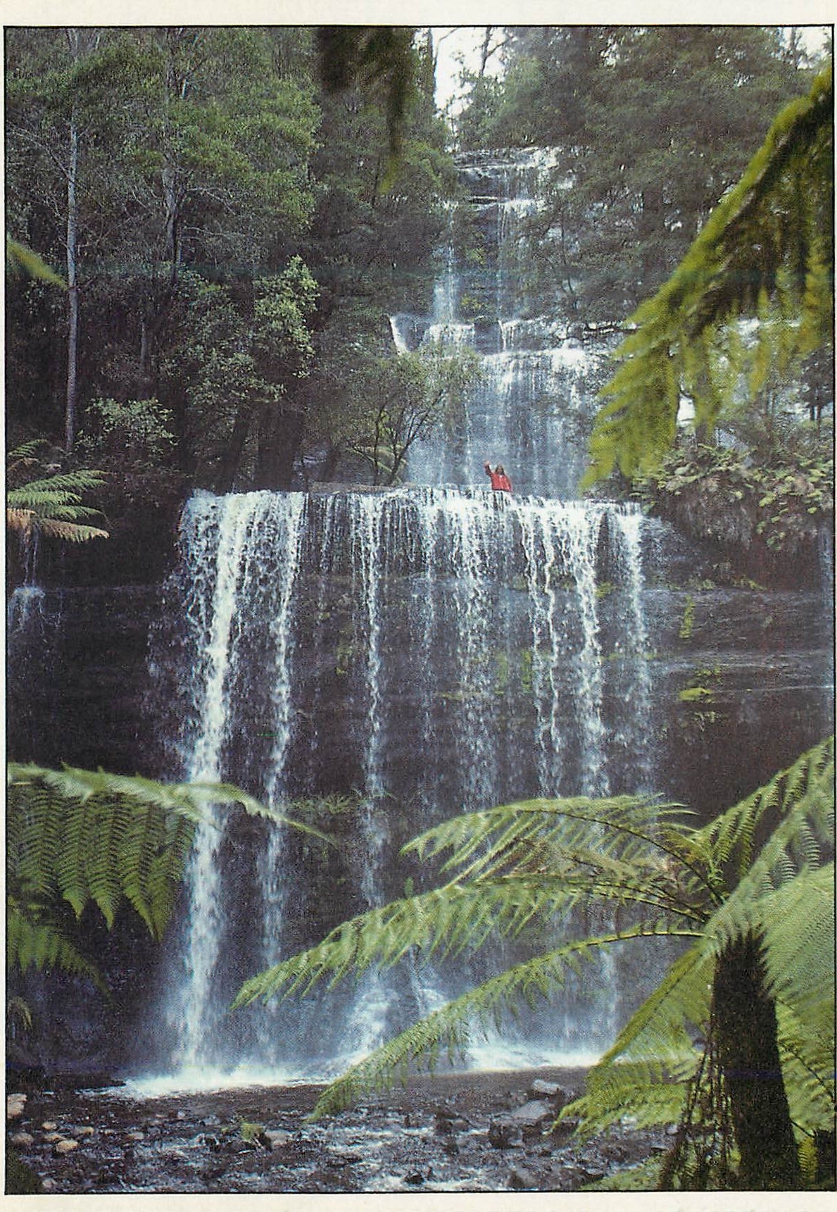 CPM Australia Tasmania