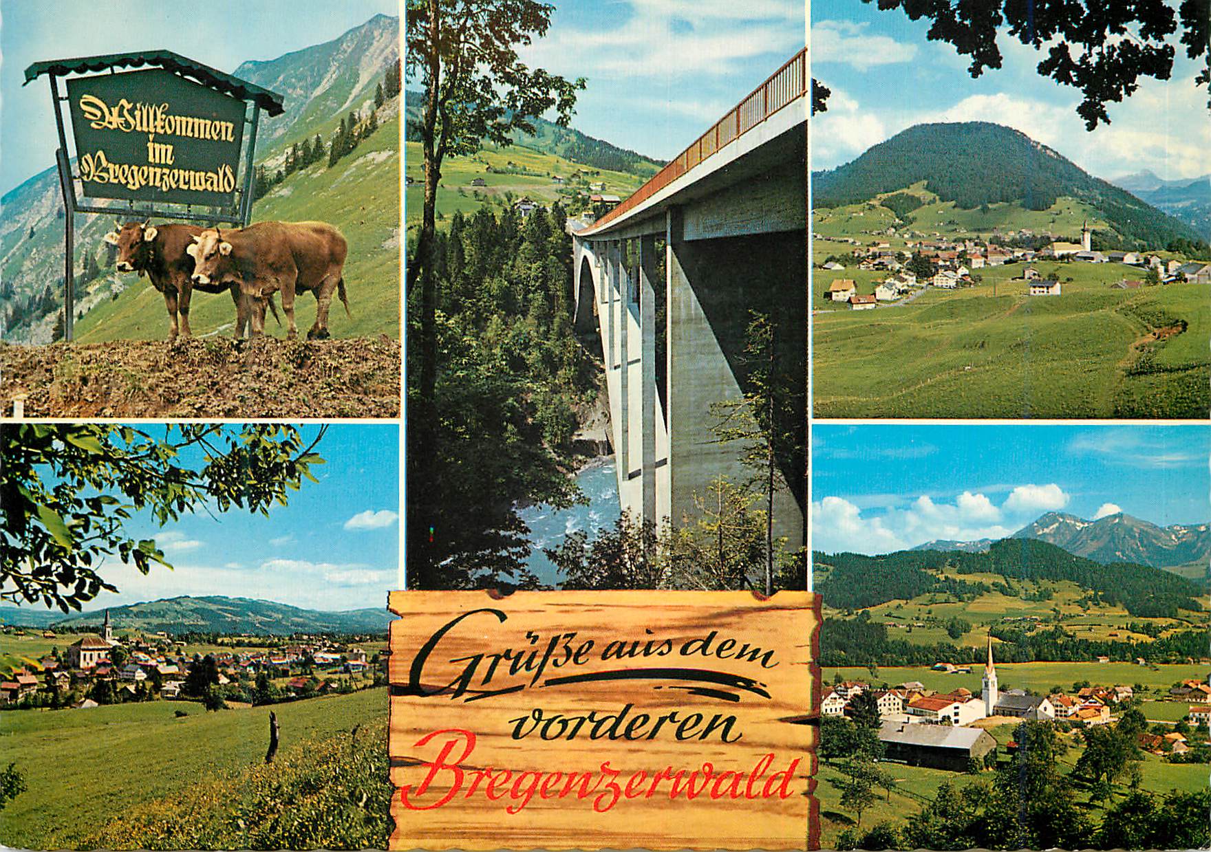 CPM Grube aus dem vorderen bregenzerwald