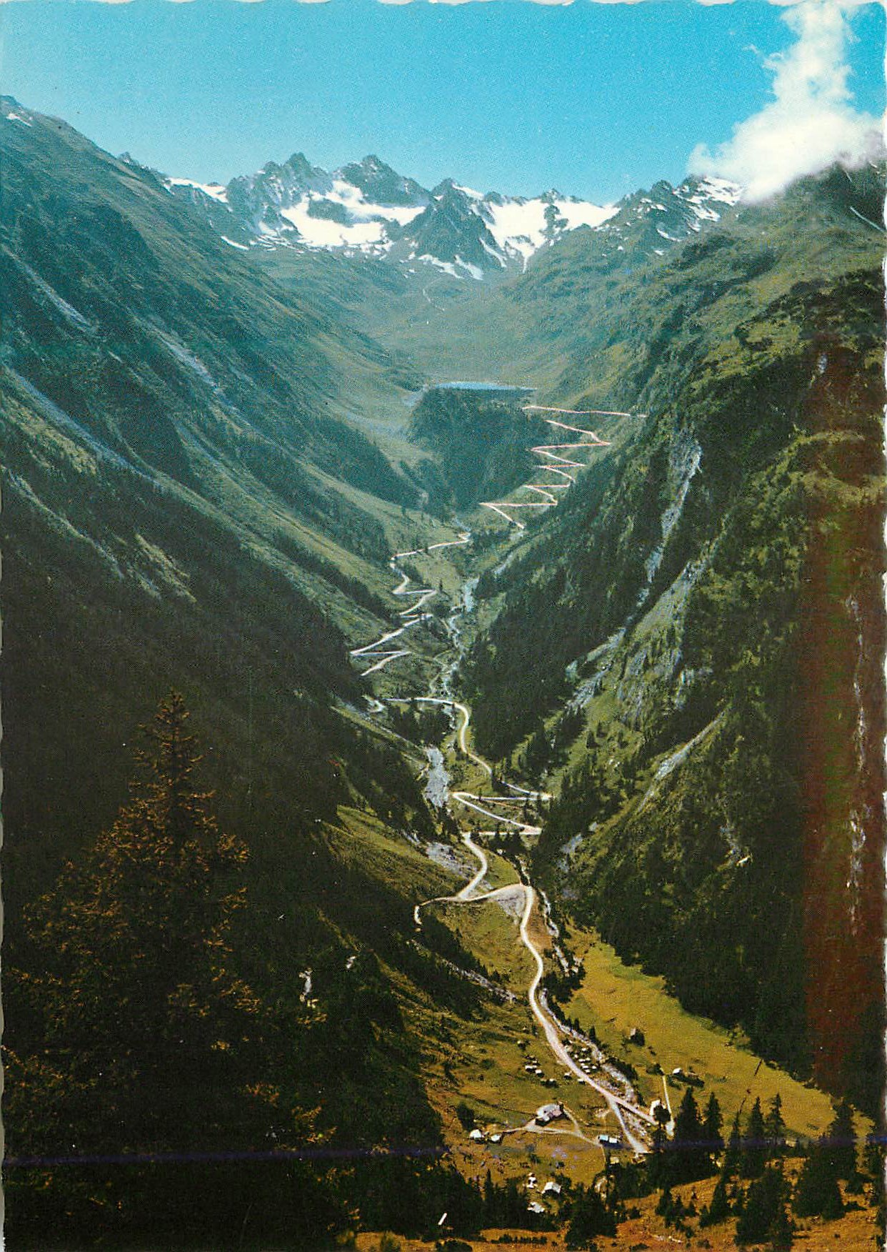 CPM Silvrella hochalpenslrabe zur bieler hohe 2021 m montafon vorarlberg