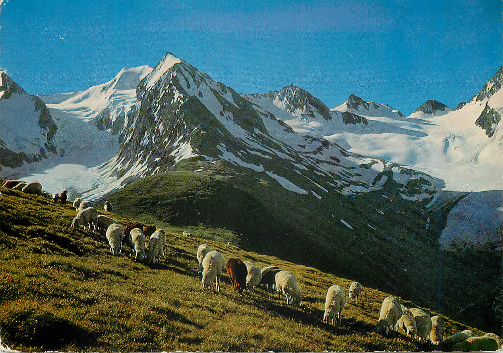 CPM Tirol Tiroler bergschaie blick von der hohen mit 2670 m auf den gaisberg und rofmcosgletscher bei obergugrgl
