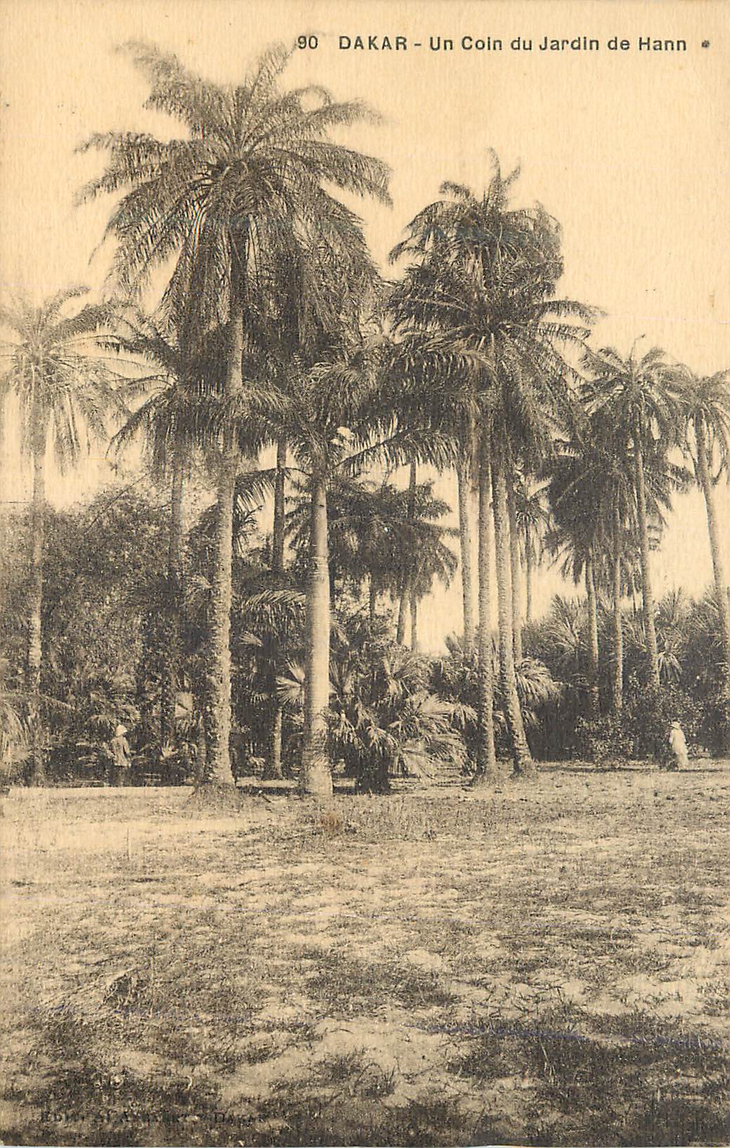 CPA Senegal Dakar Un Coin du Jardin de Hann