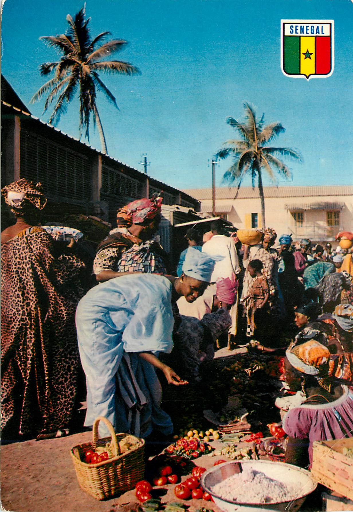 CPM Senegal Cap Skiring Club Mediterranee