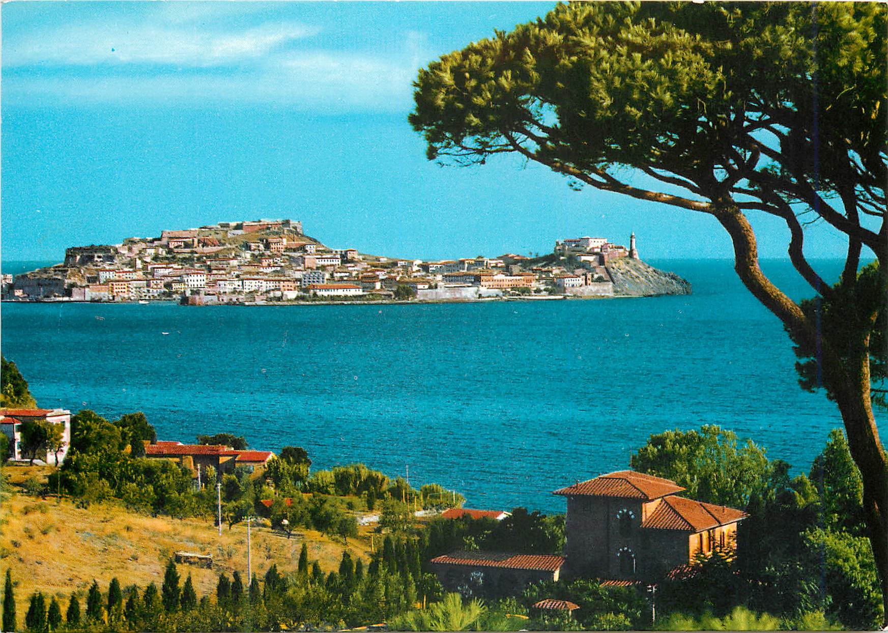 CPM Isola d'elba portoferraio panorama