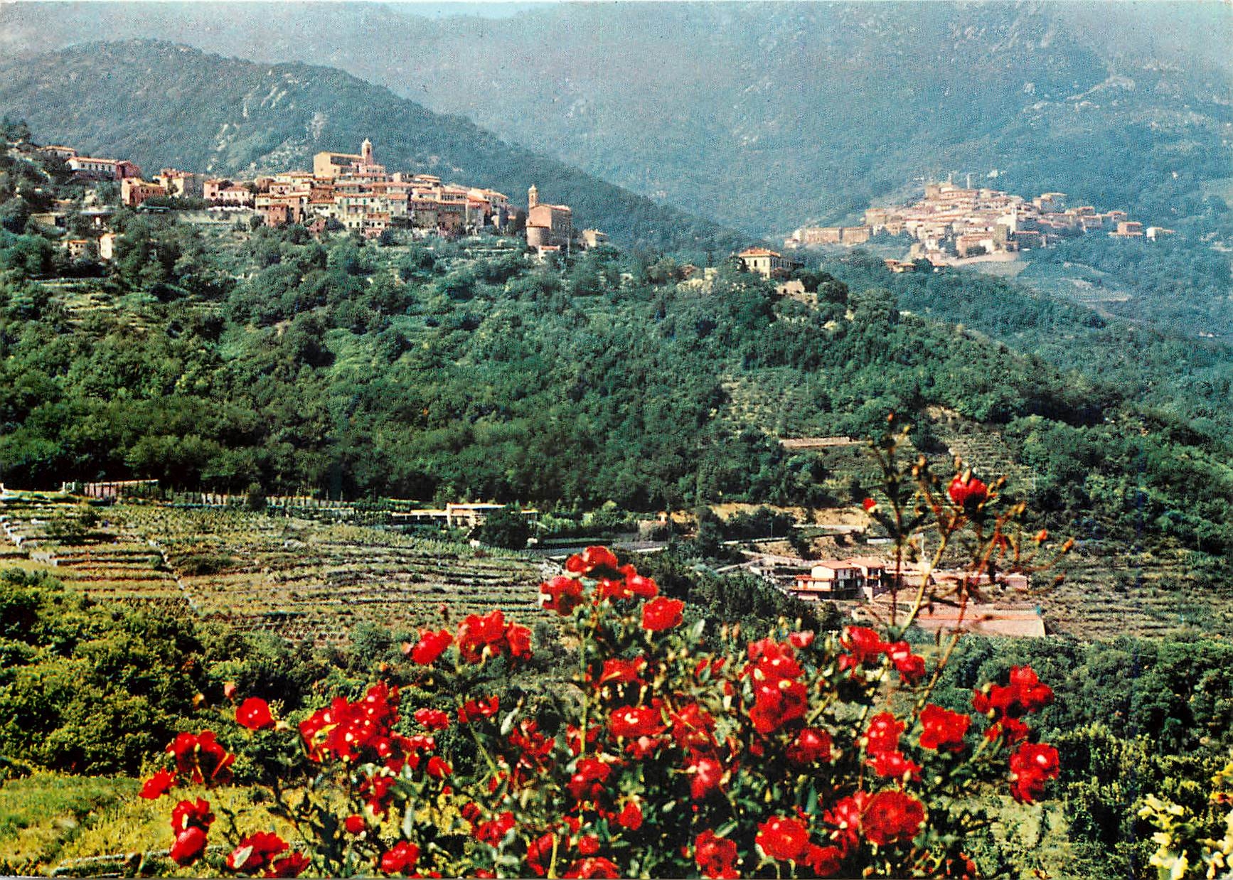 CPM Isola d'elba poggio et marciana et la vallee avec ses maisons