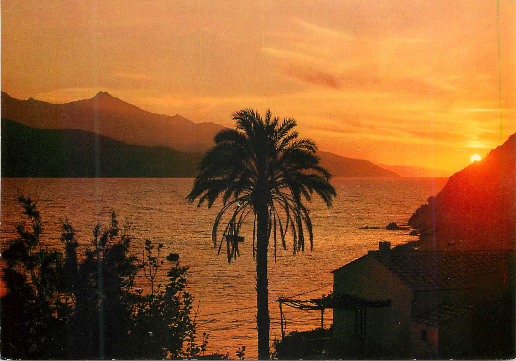CPM Isola d'elba coucher du soleil localite ii forno