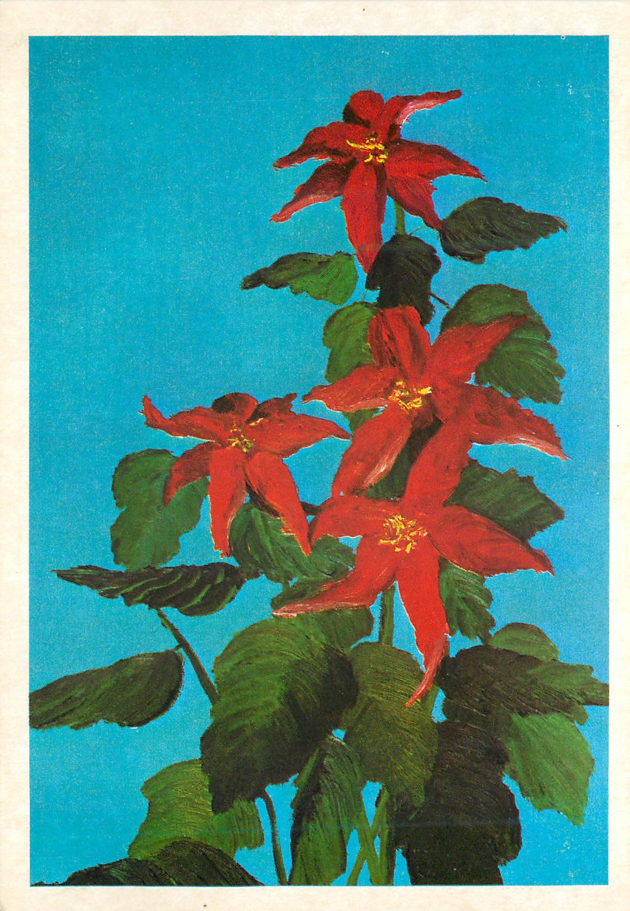 CPM Fleurs