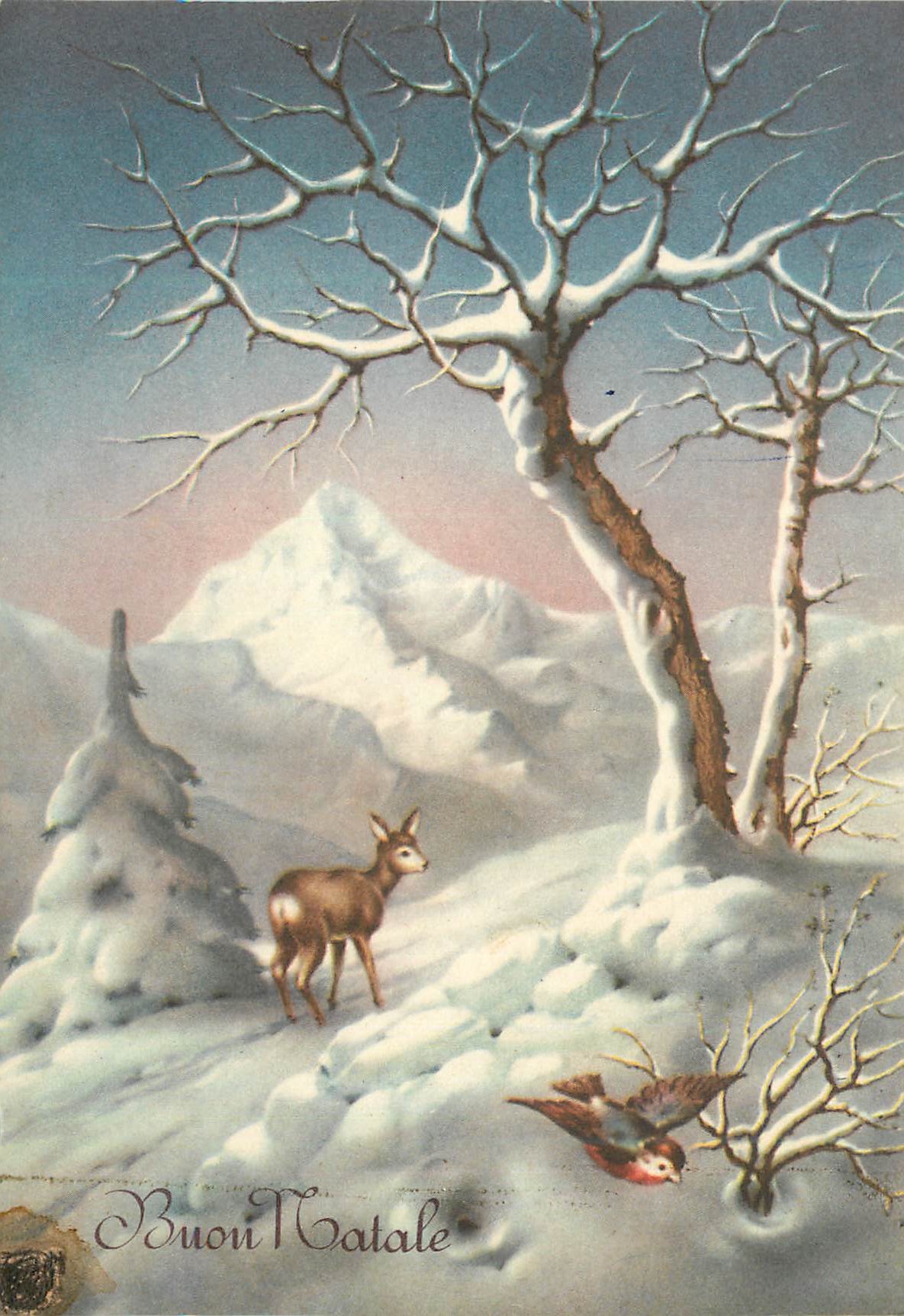 CPM Buon natale