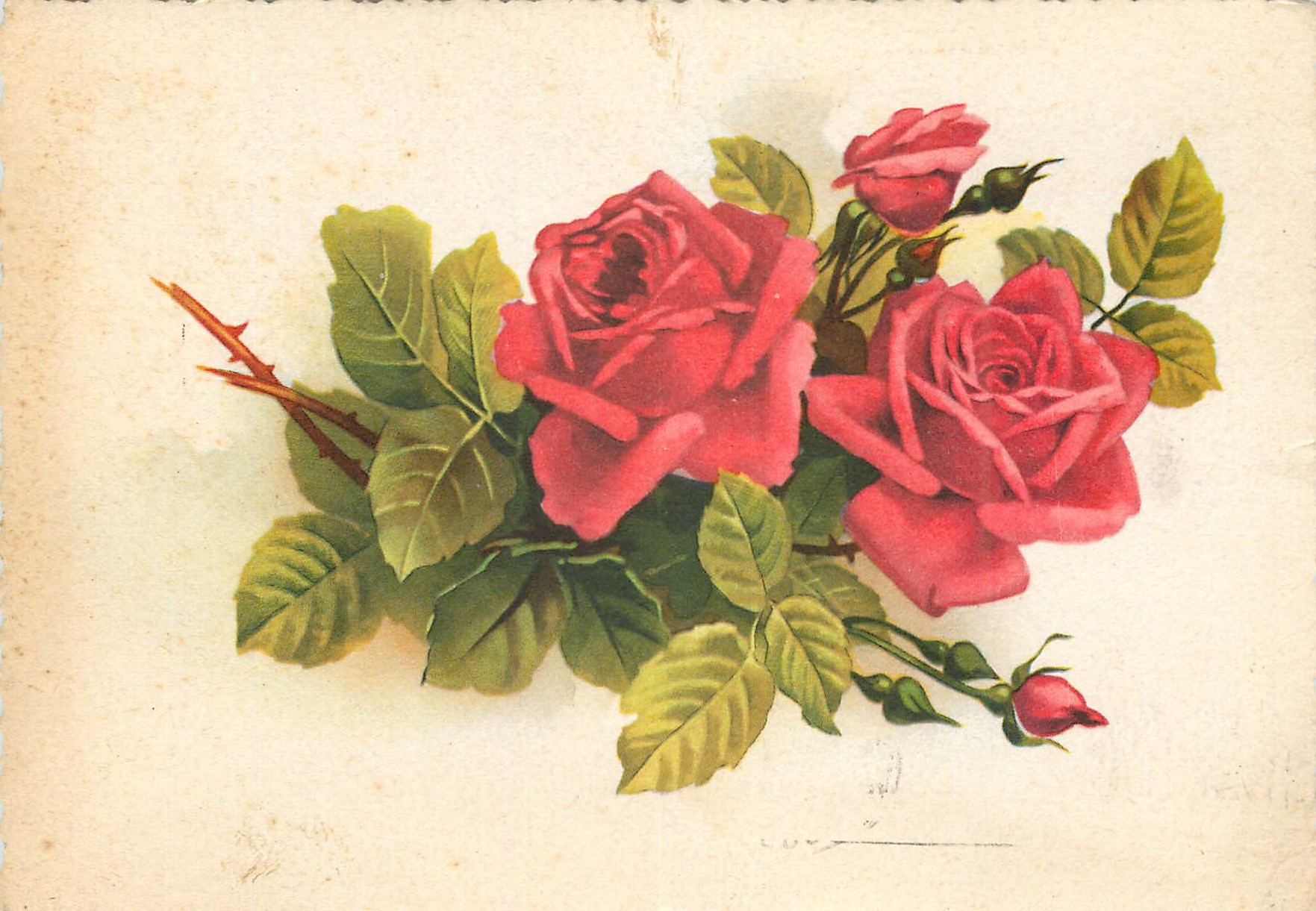 CPM Fleurs