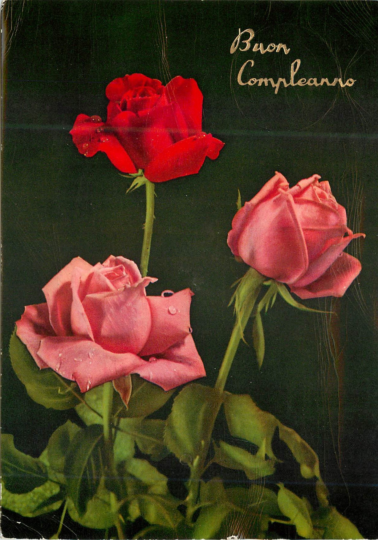 CPM Buon compleanno