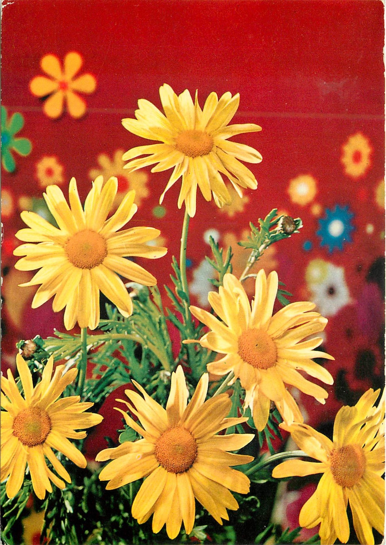 CPM Fleurs