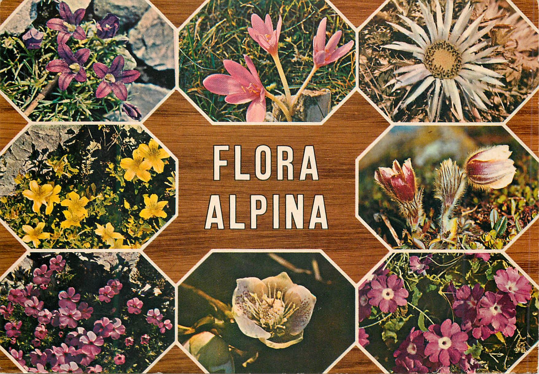 CPM Flora alpina