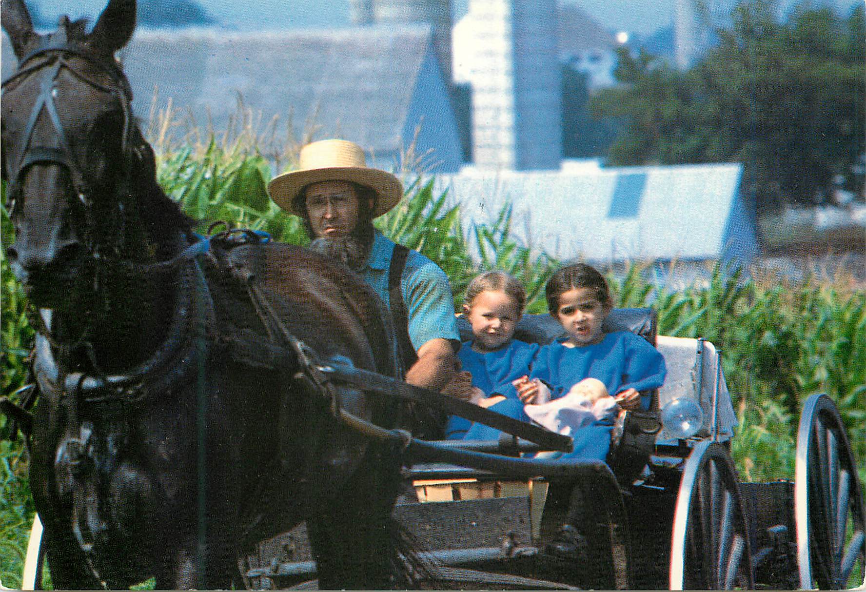 CPM Amish country an amish father and his two daughters riding in an amish courting or open buggy