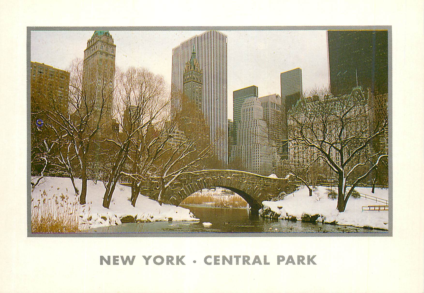 CPM New york city winter in cenral park