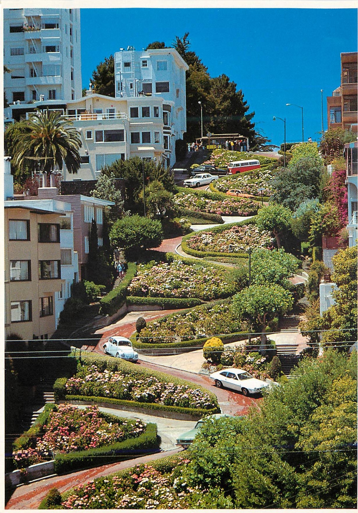 CPM San Francisco Summer flowers cable car clean fresh pastel colors of residences on lombard street