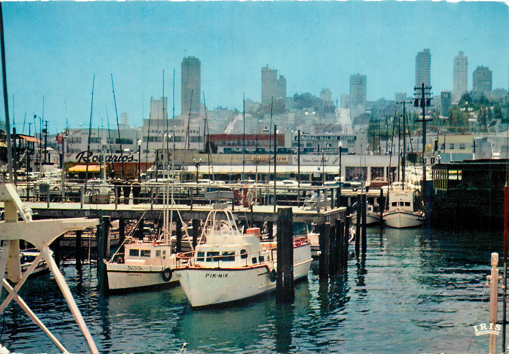 CPM San Francisco Le port de peche Bateaux