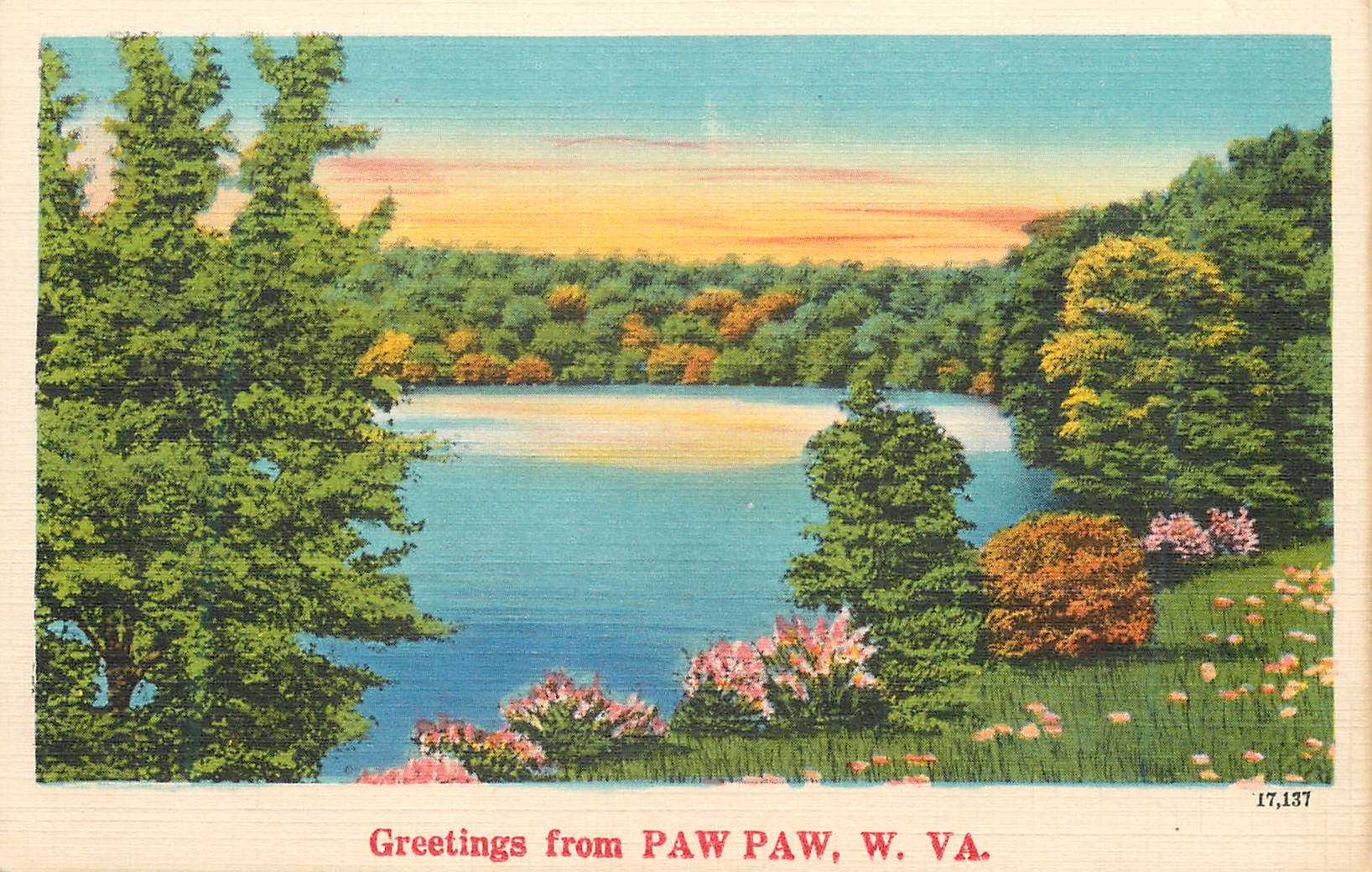 CPA Paw Paw