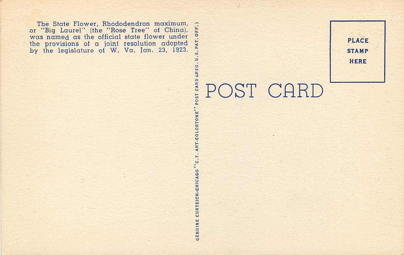 CPA Rhododendron West Virginia State Flower — Rückseite