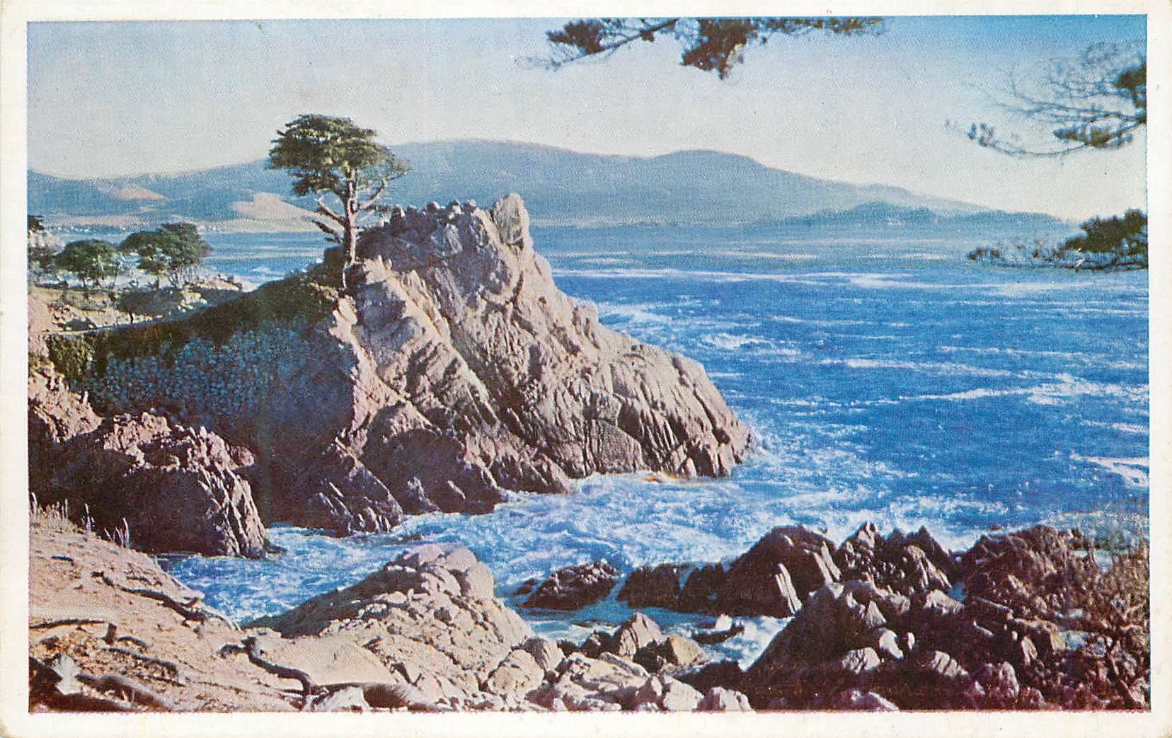 CPA This rocky promontory with gnarled Monterey Cypress tree is a popular view point on the 17-Mile Drive
