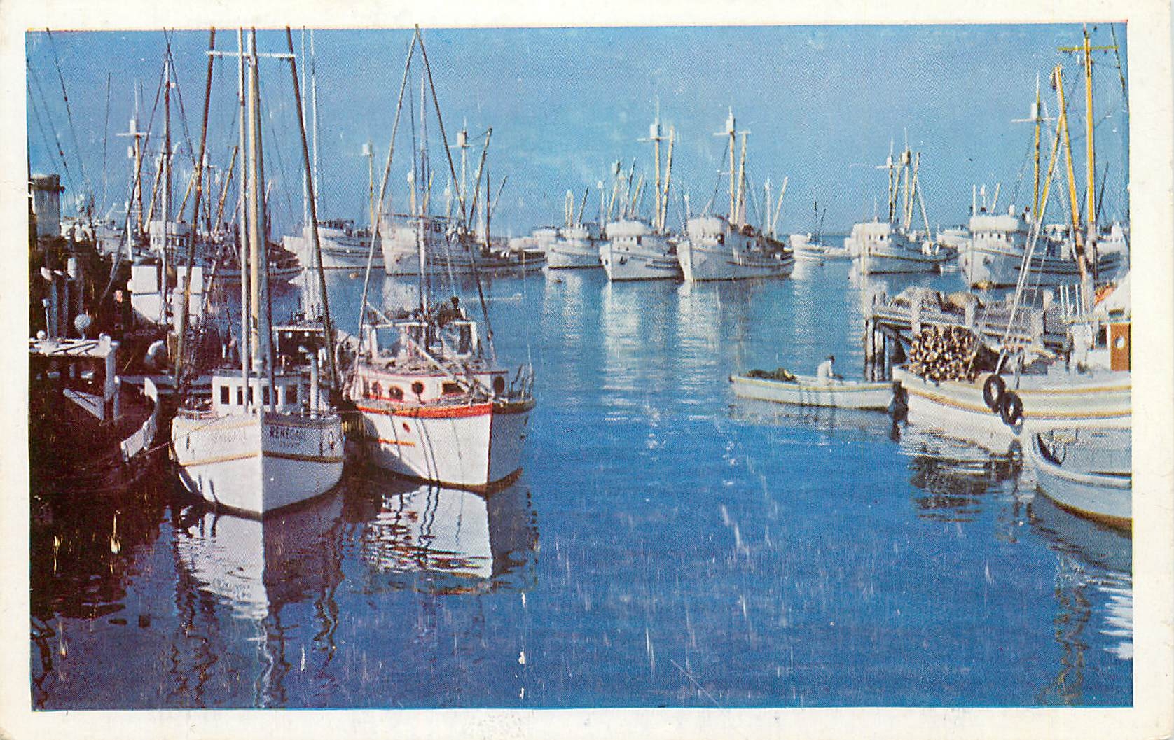 CPA California Monterey Bay Bateaux
