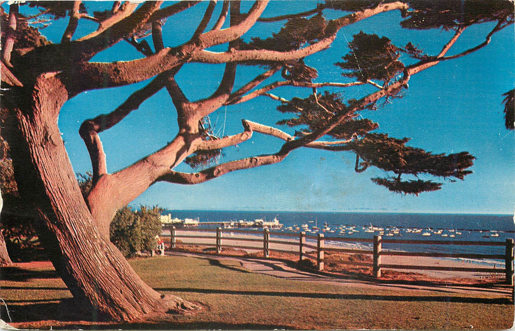 CPM Palisades Park Santa Monica California