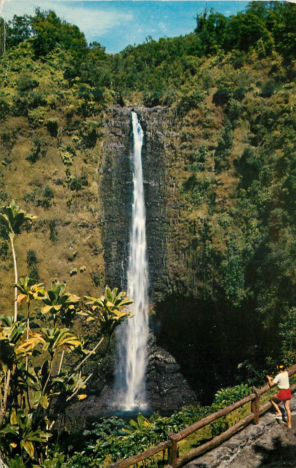 CPM Akaka Falls