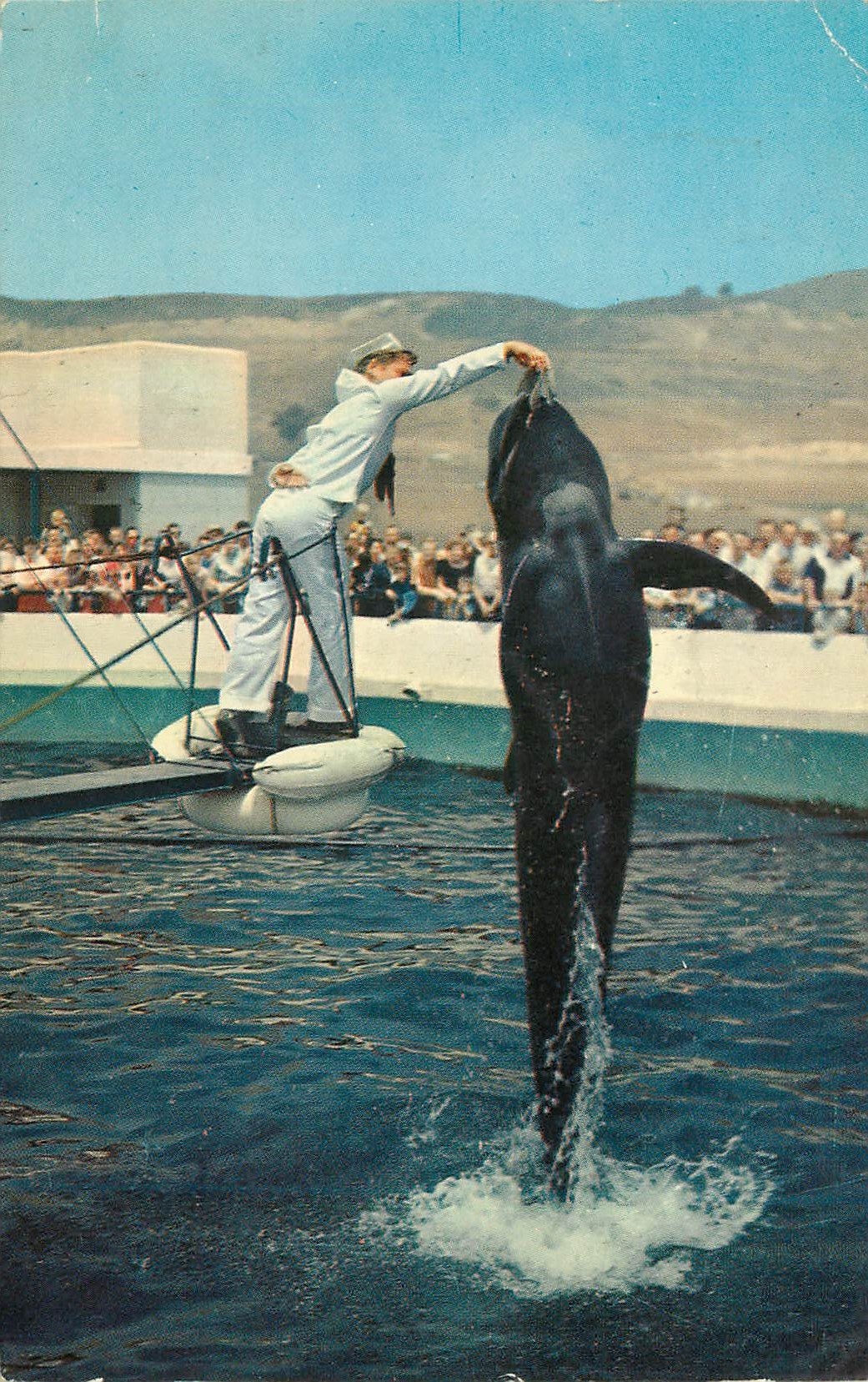 CPM Marineland of the Pacific Palos Yerdes Southern California Dauphin