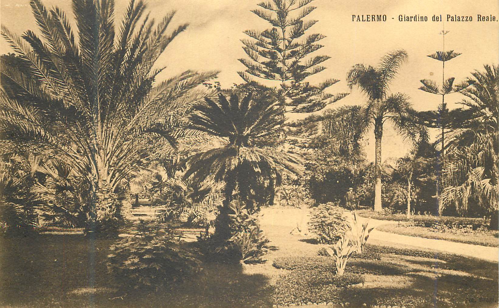 CPA Palermo Giardino del Palazzo Reale