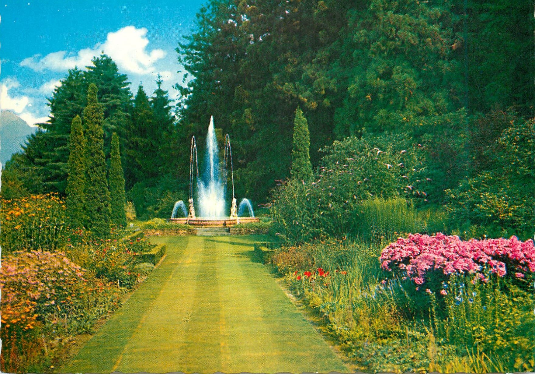 CPM Villa Taranto Verbania Pallanza Lago Maggiore