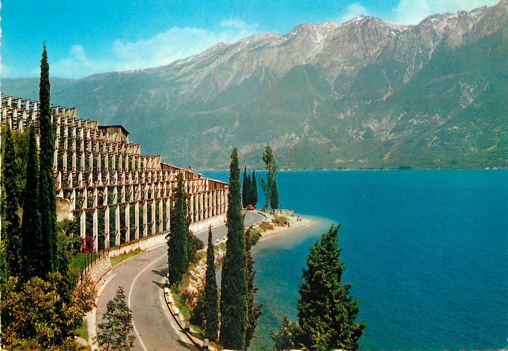 CPM Le lac de Garde Limonaie et Monte Baldo