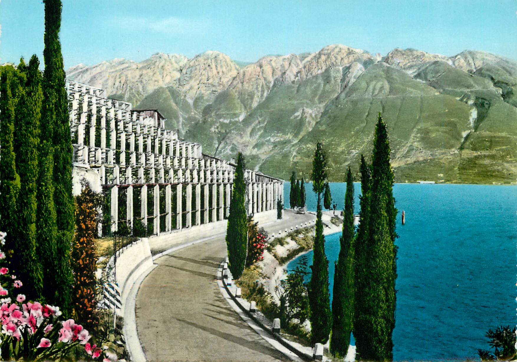 CPM Le lac de Garde Limonaie et Monte Baldo
