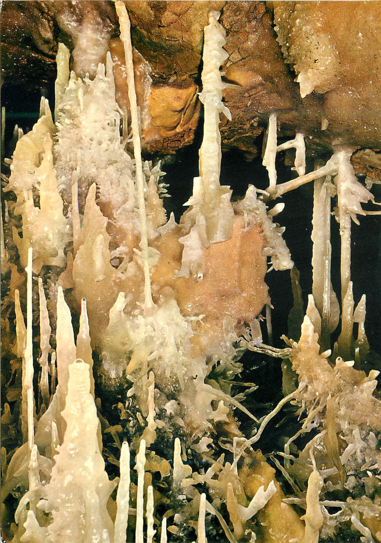 CPM Grotte di Castellana Stalactiles excentriques
