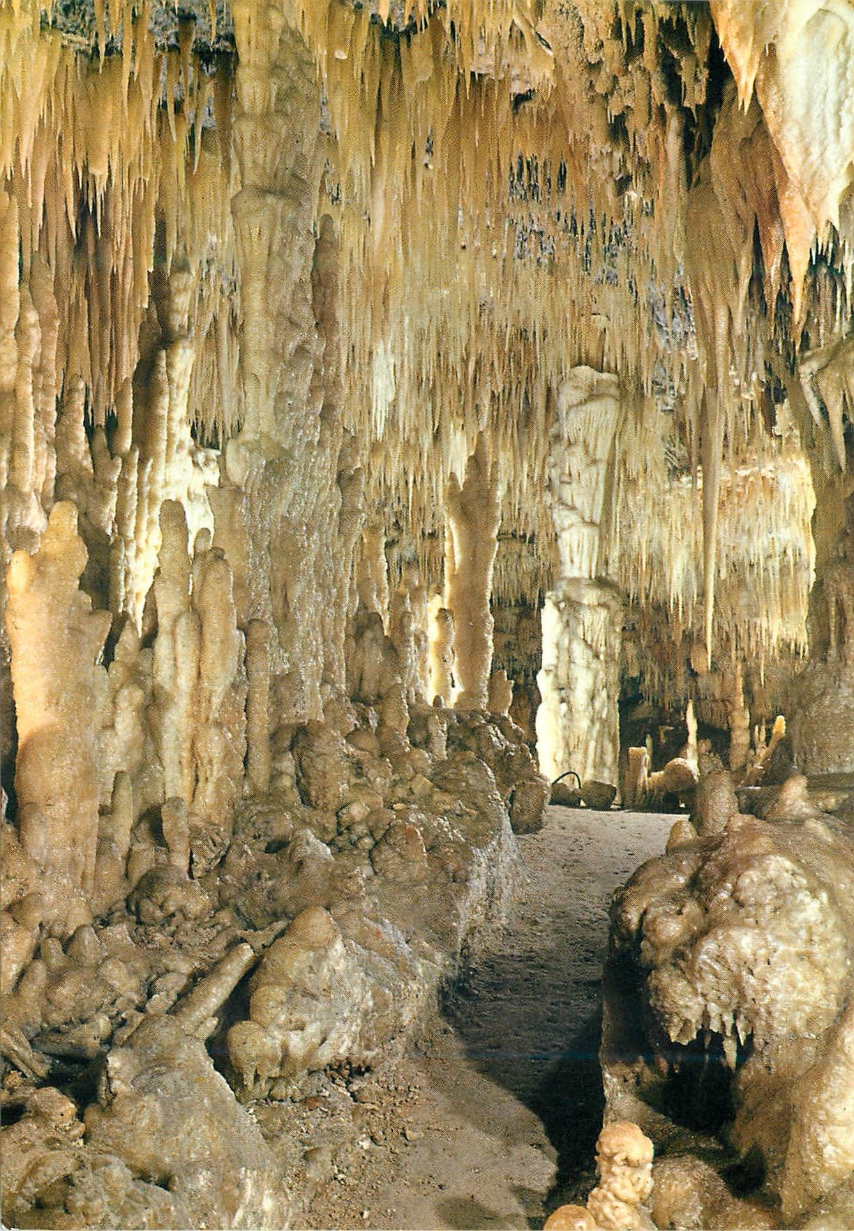 CPM Grotte di Castellana Splendeur silencieuse