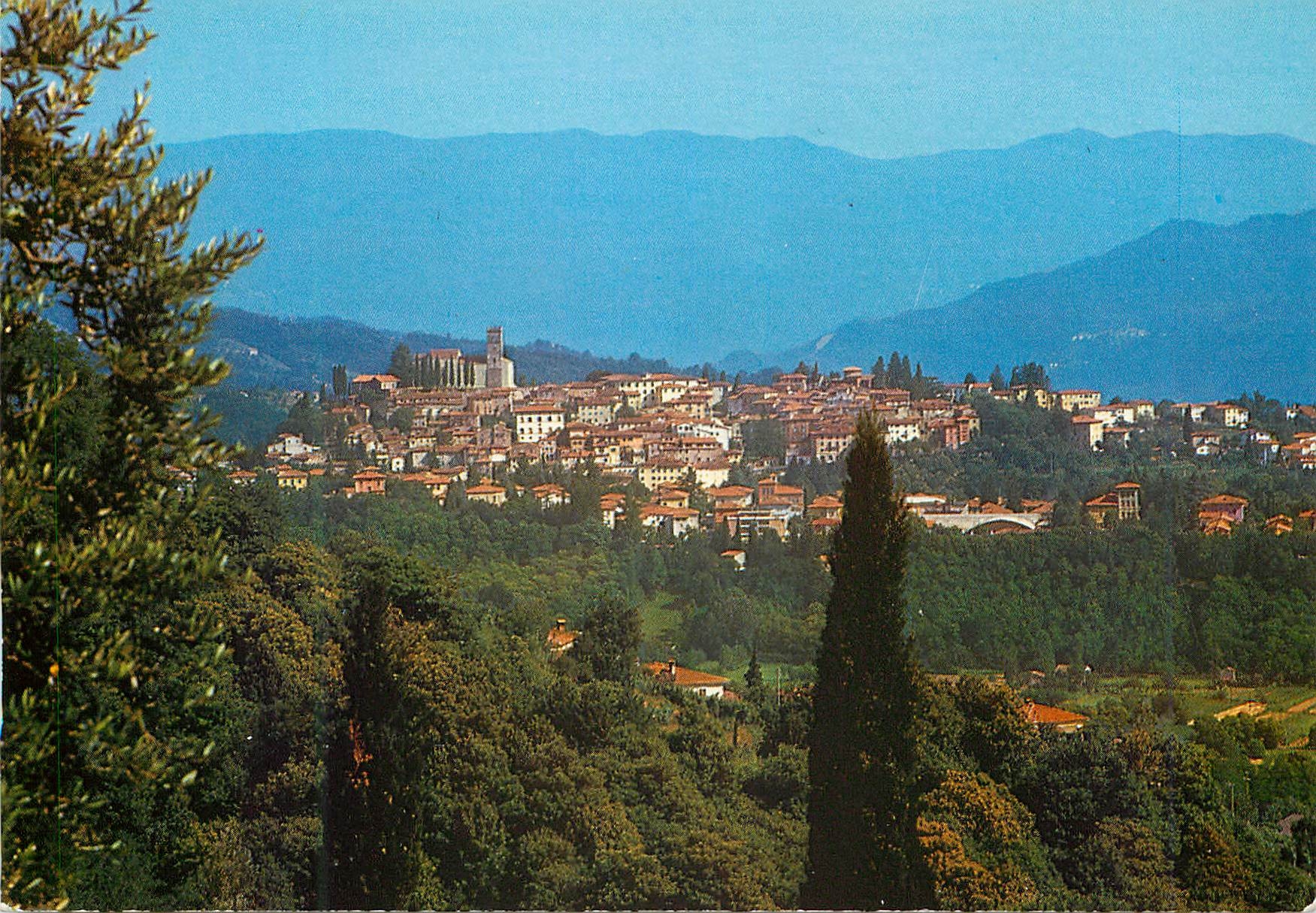 CPM Barga Panorama