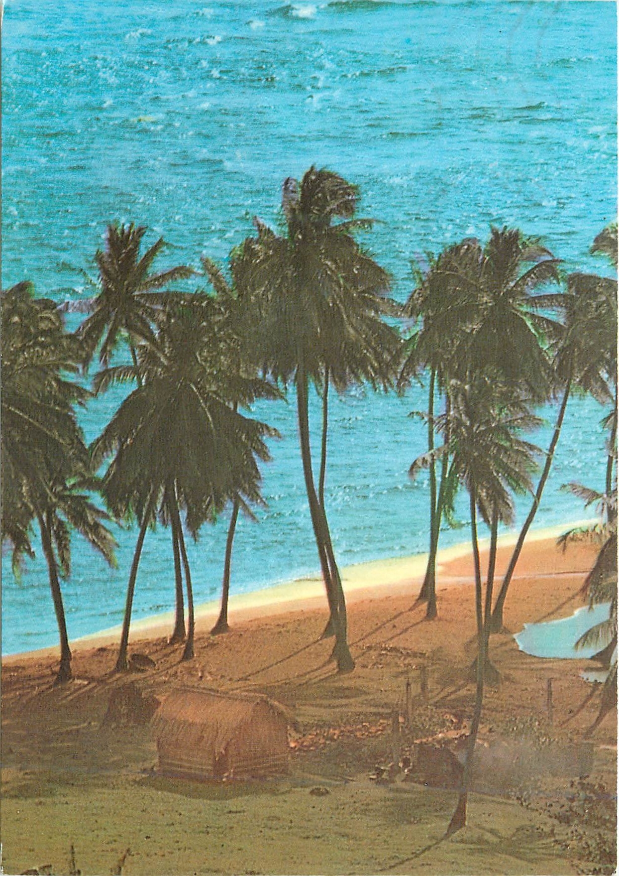 CPM Martinique Sainte-Marie Un coin de plage a l'Anse Azerot