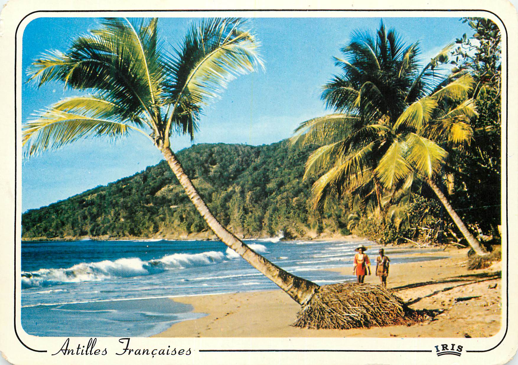 CPM Martinique Antilles Francaises Plage des Caraibes