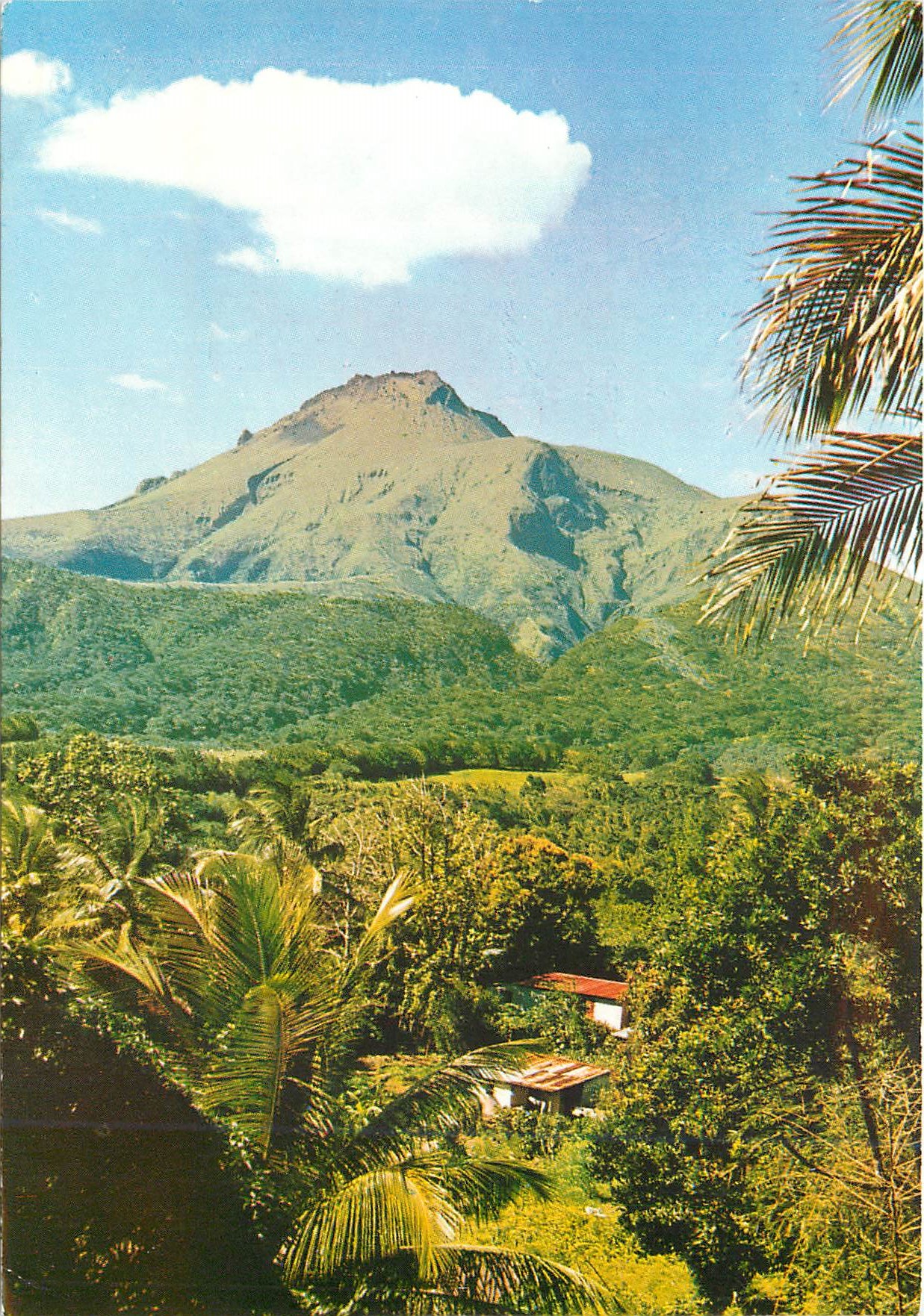 CPM Martinique La Montagne Pelee  vue du Morne Rouge