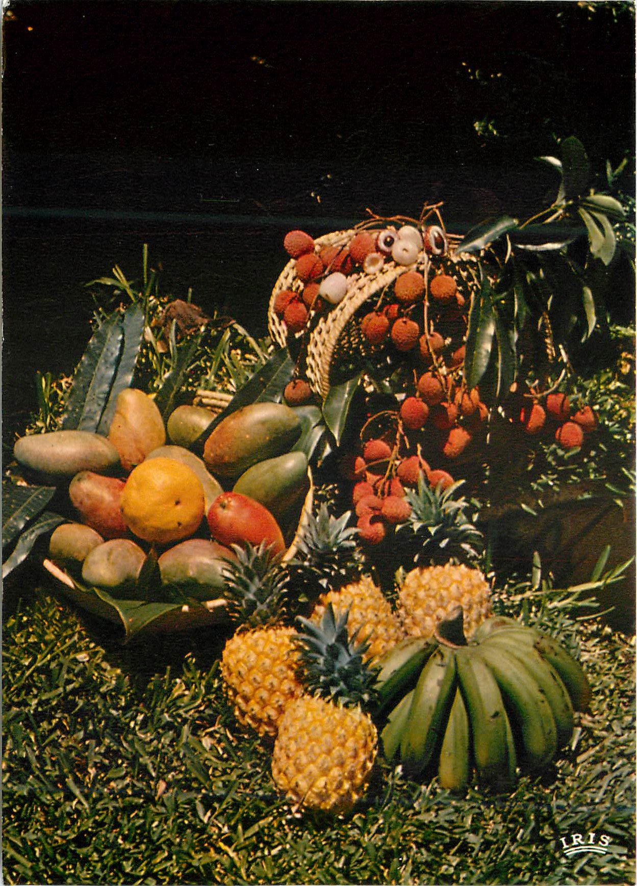 CPM Martinique Antilles Francaise Corbeille de fruits Antillais
