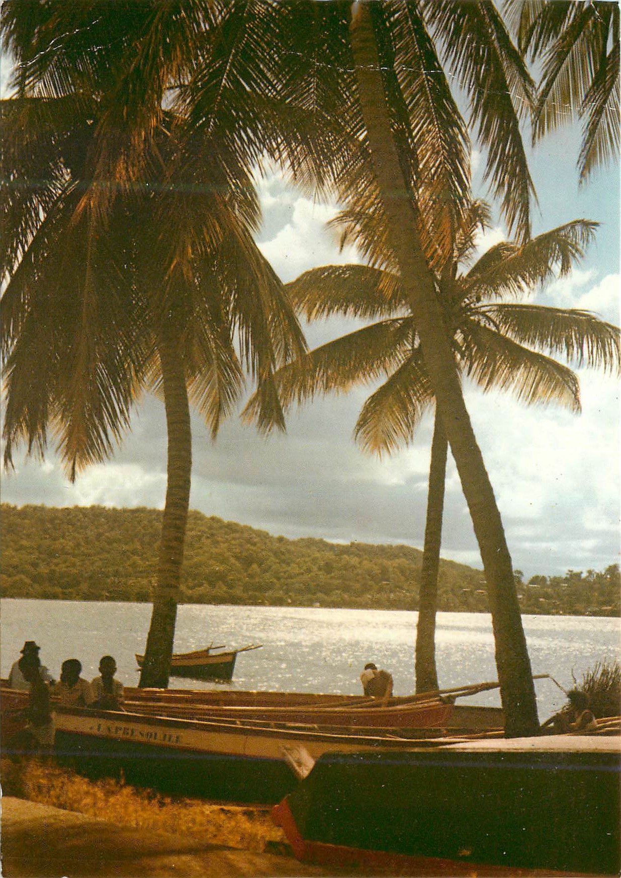 CPM Martinique Trinite Tartane Le bord de mer l'apres-midi