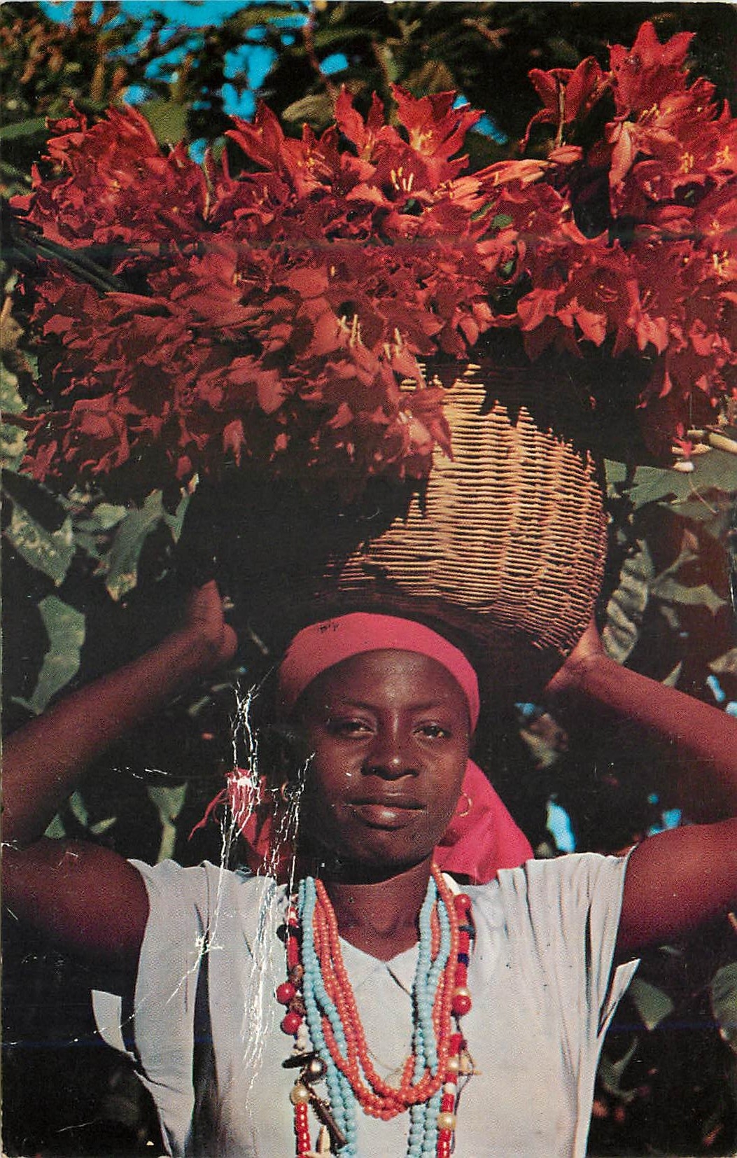 CPM Haiti Young Haitin Flower Vendor