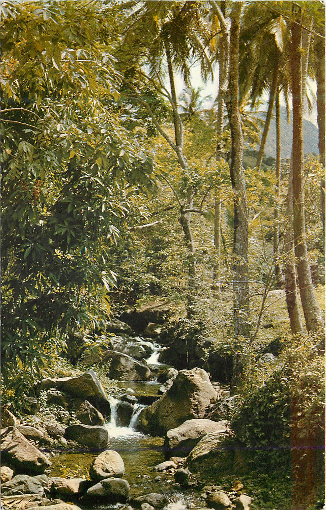 CPM Martinique Torrent descendant des Pitons du Carbet