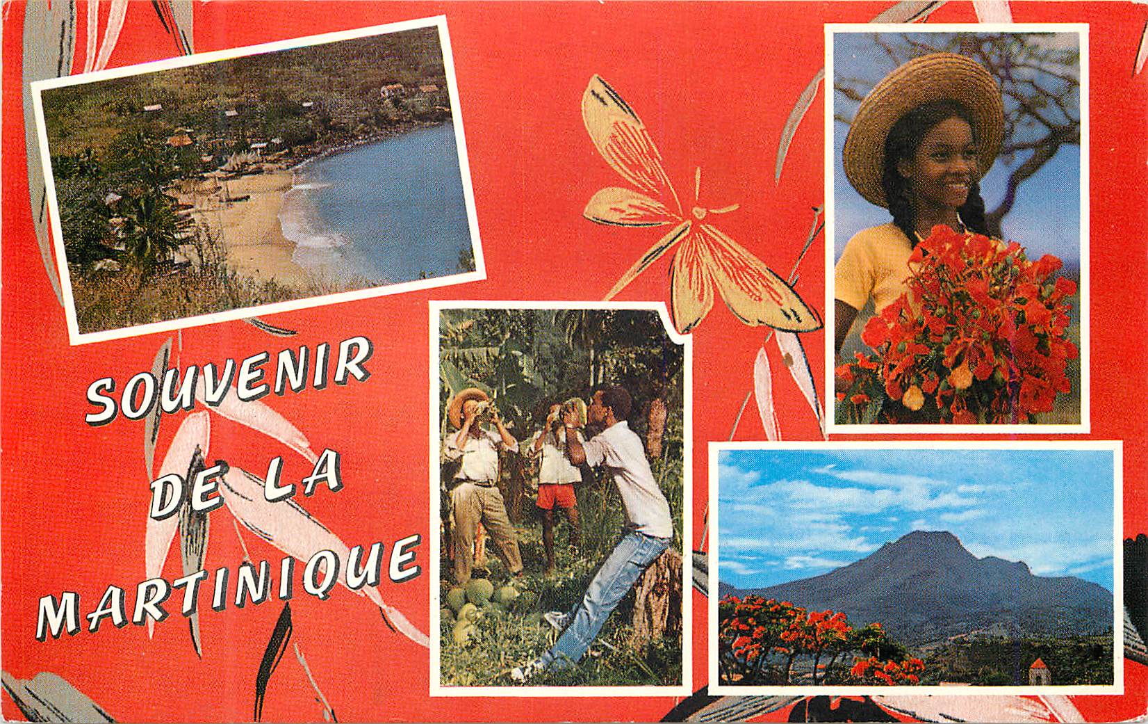 Souvenir de la Martinique — Italcolor, n°102