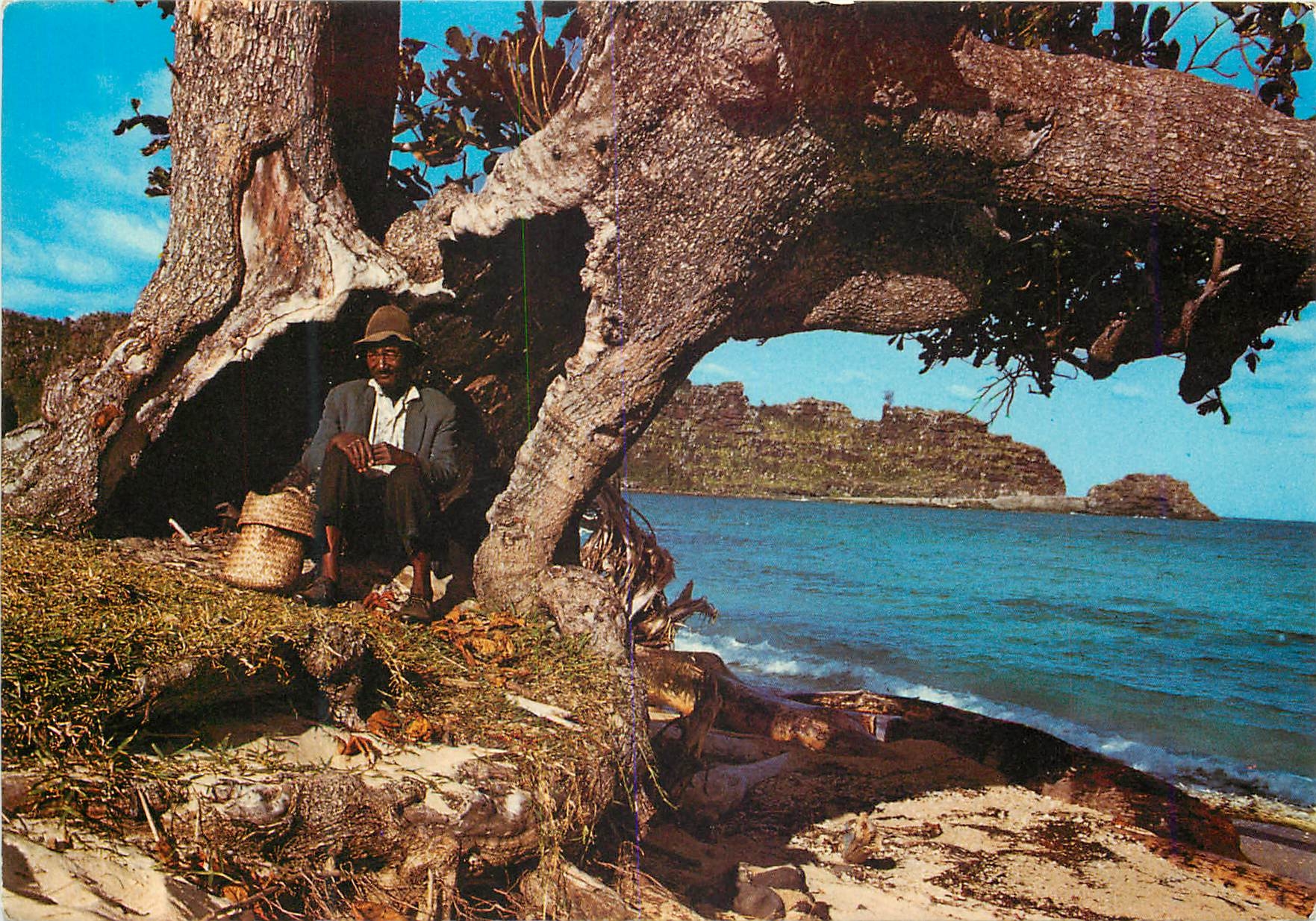 CPM Ile Maurice Bus Stop a Maconde Baie du Cap