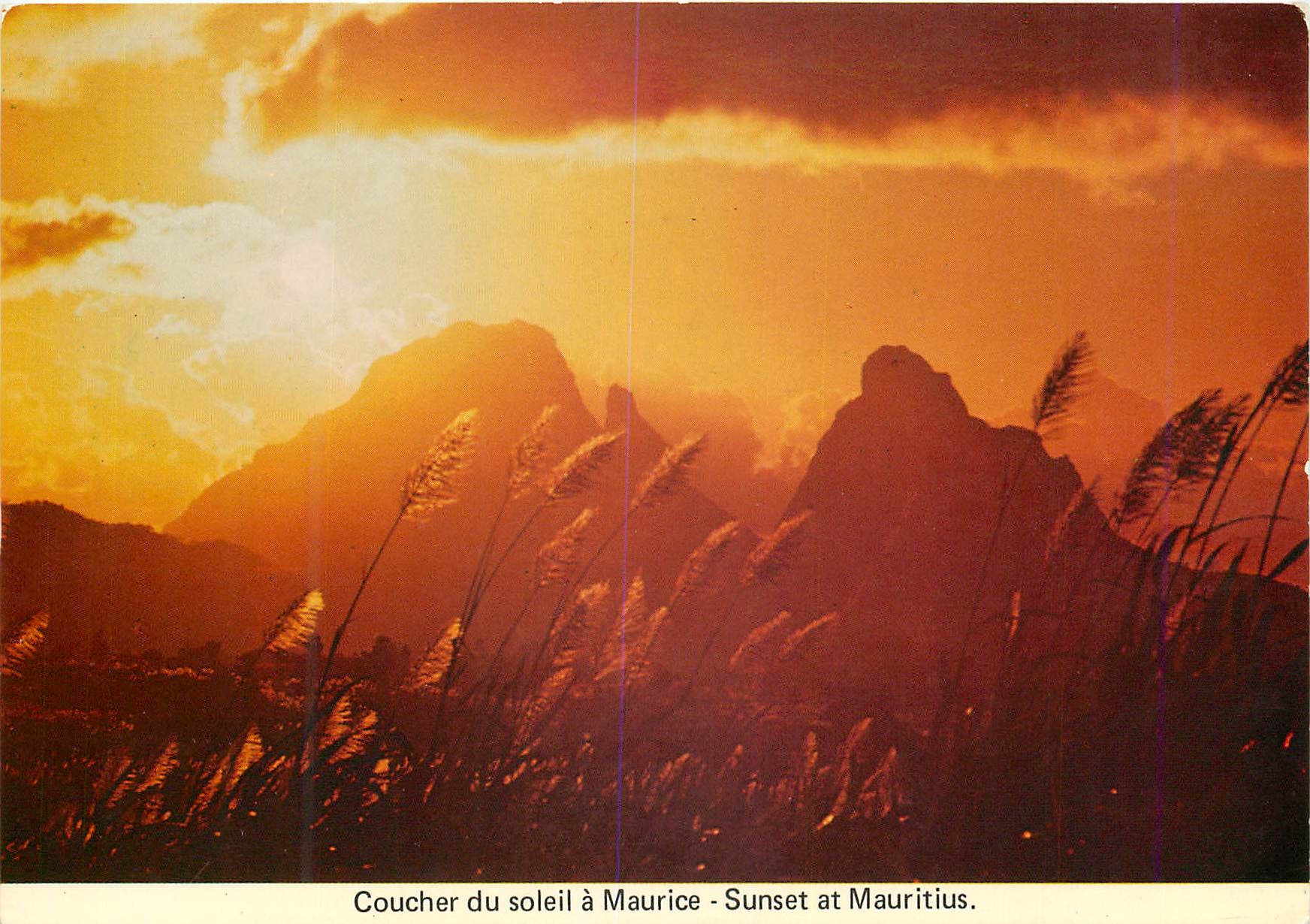 CPM Ile Maurice Coucher du soleil a Maurice