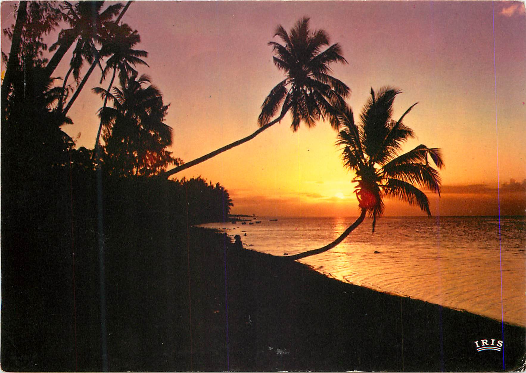 CPM Ile Maurice Pointe aux Sables Coucher de soleil et cocotiers