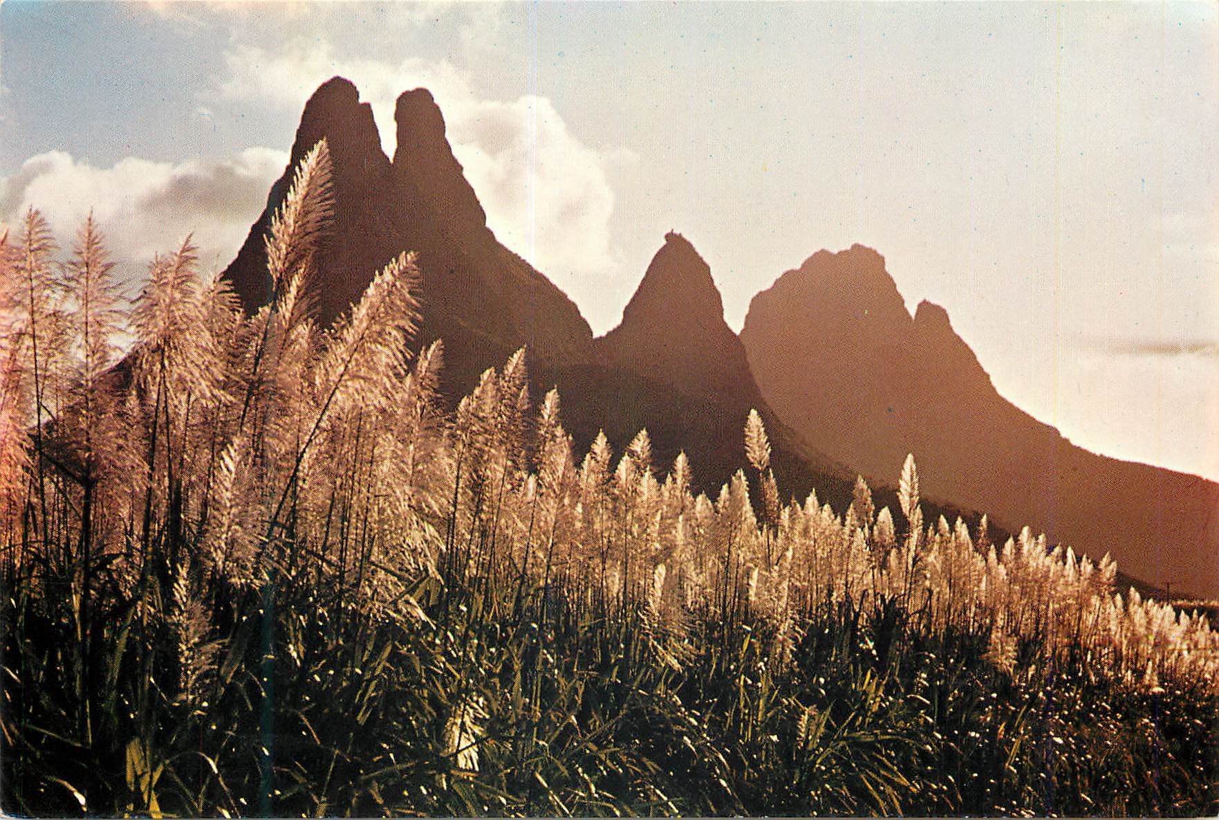 CPM Ile Maurice Montagne des Trois Mamelles