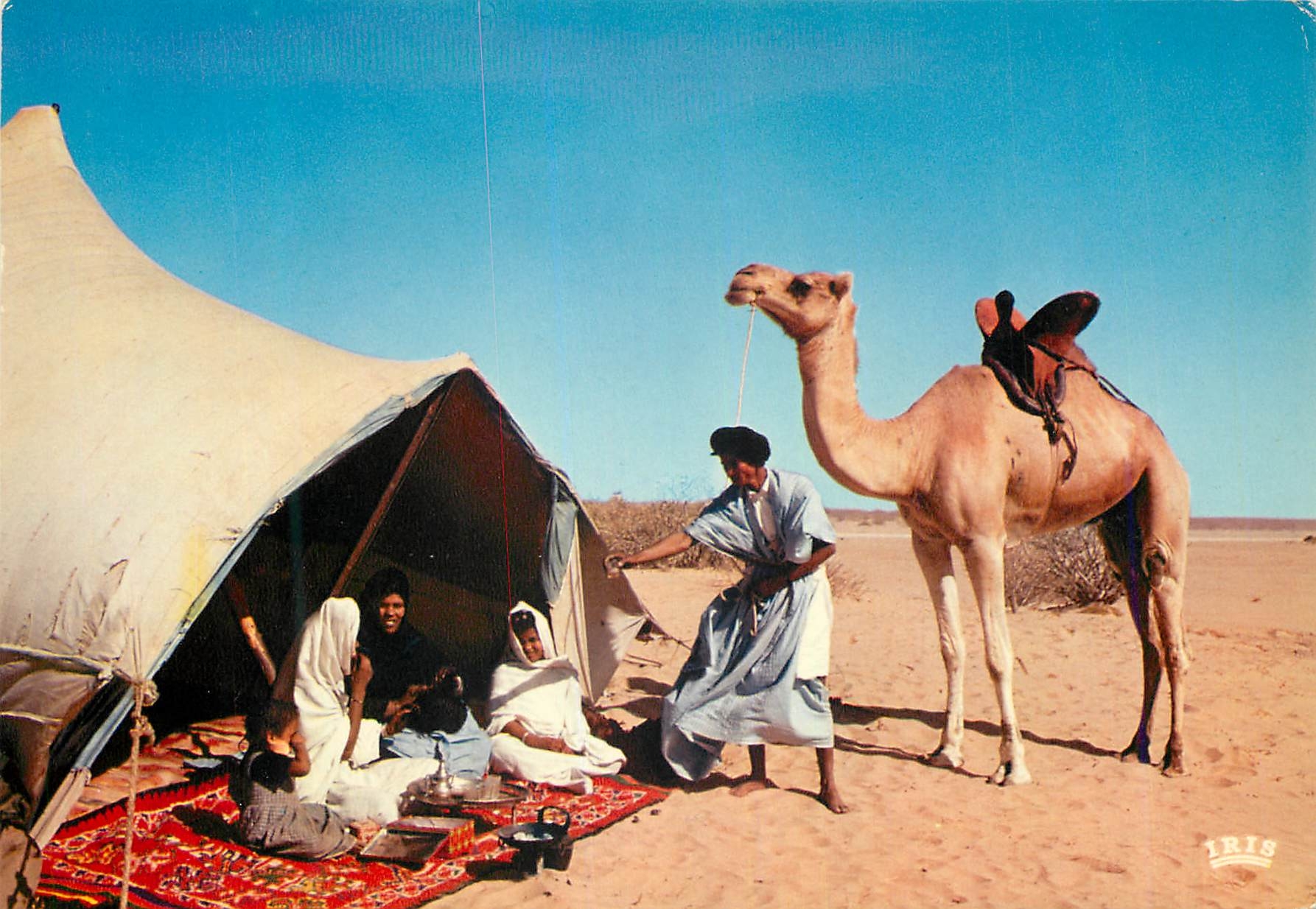 CPM Rep Islamique de Mauritanie La vie sous la tente